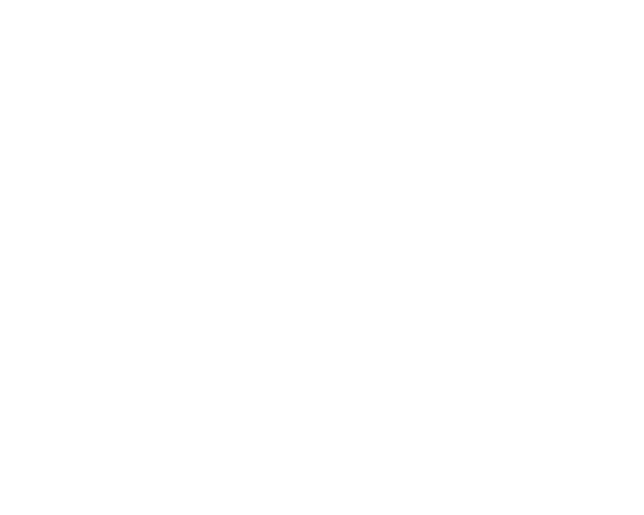 CommonSense Democrats Logo